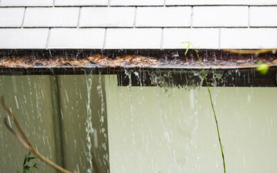 What Does Fall Season Mean for Water Damage?