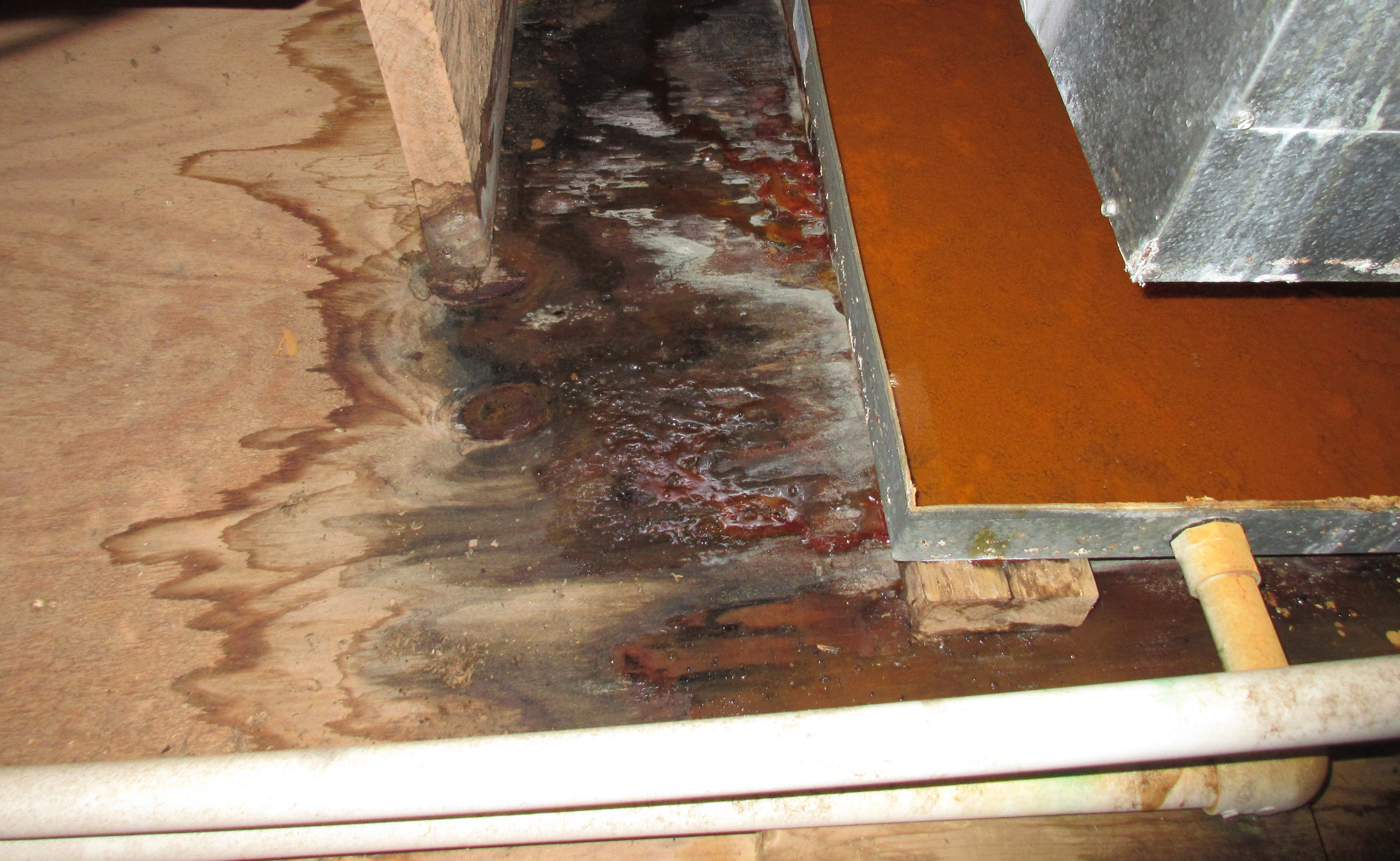 floor damaged from water heater leak
