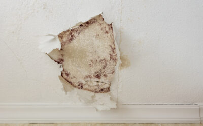 How Much Does Water Damage Devalue Your House?