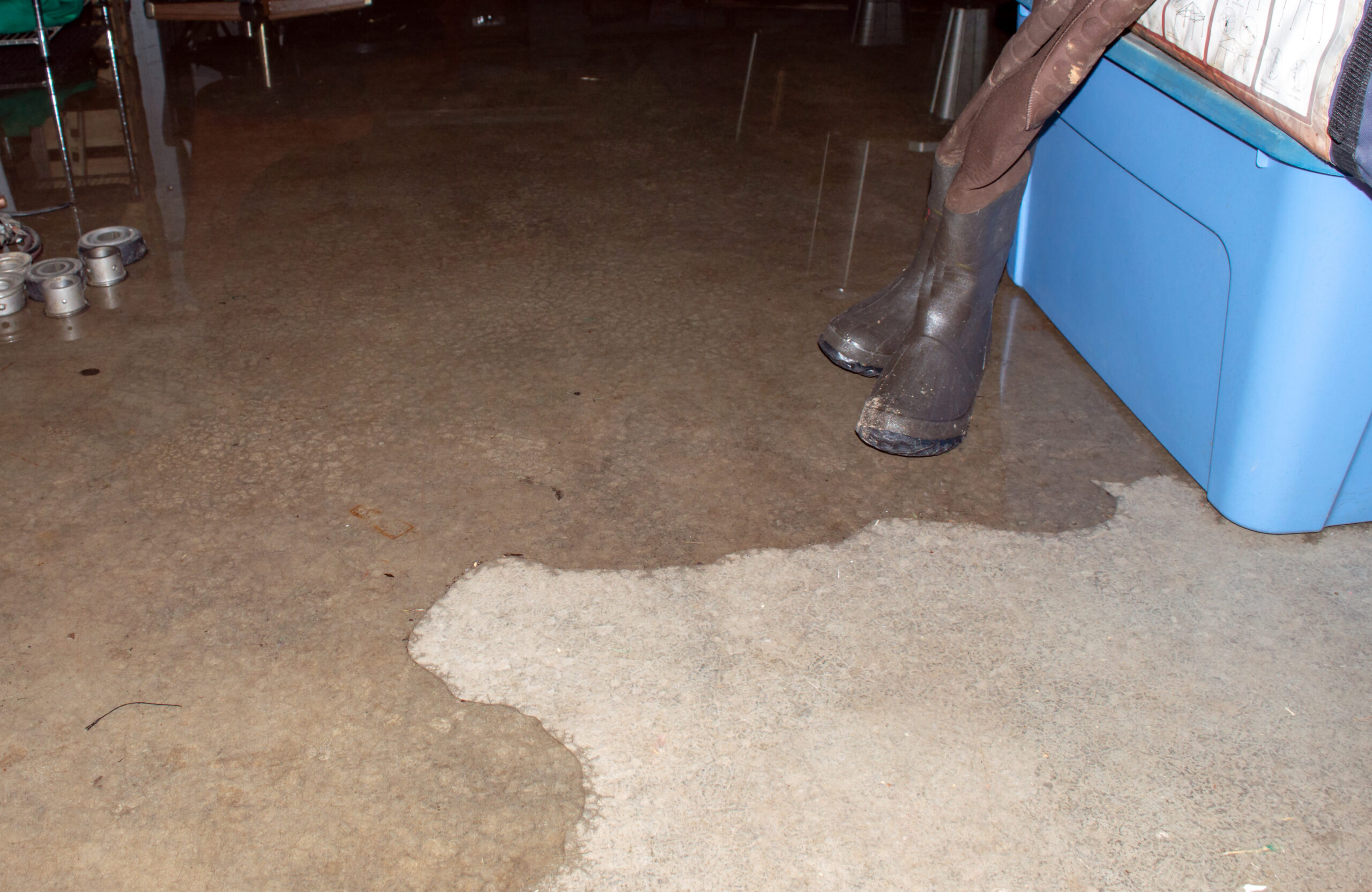 A pair of hip boots stand ready as the basement begins to flood and rains continue to pour down relentlessly. 