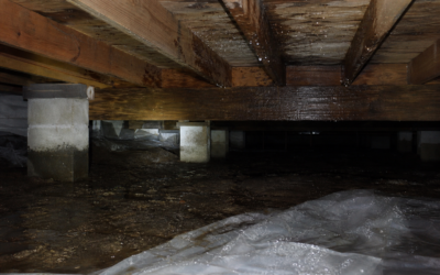 Crawl Space Water Damage: Signs, Risks and How to Dry It Out