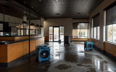 Business Interruption After a Water Damage Loss: What Northern Colorado Property Owners Should Know