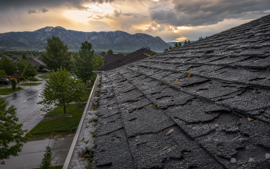 Hail-damaged asphalt shingle roof on a Colorado home with hail stones collected in the gutter after a Front Range storm