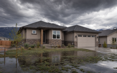 Water Damage Restoration in Timnath, CO: What Homeowners Need to Know