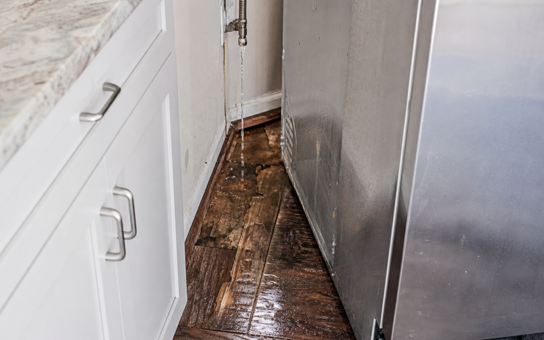 Refrigerator pulled away from kitchen cabinets revealing warped flooring and a leaking water supply line