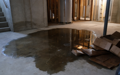 Loveland Hail Damage: Why the Roof Leak Shows Up Six Months Later