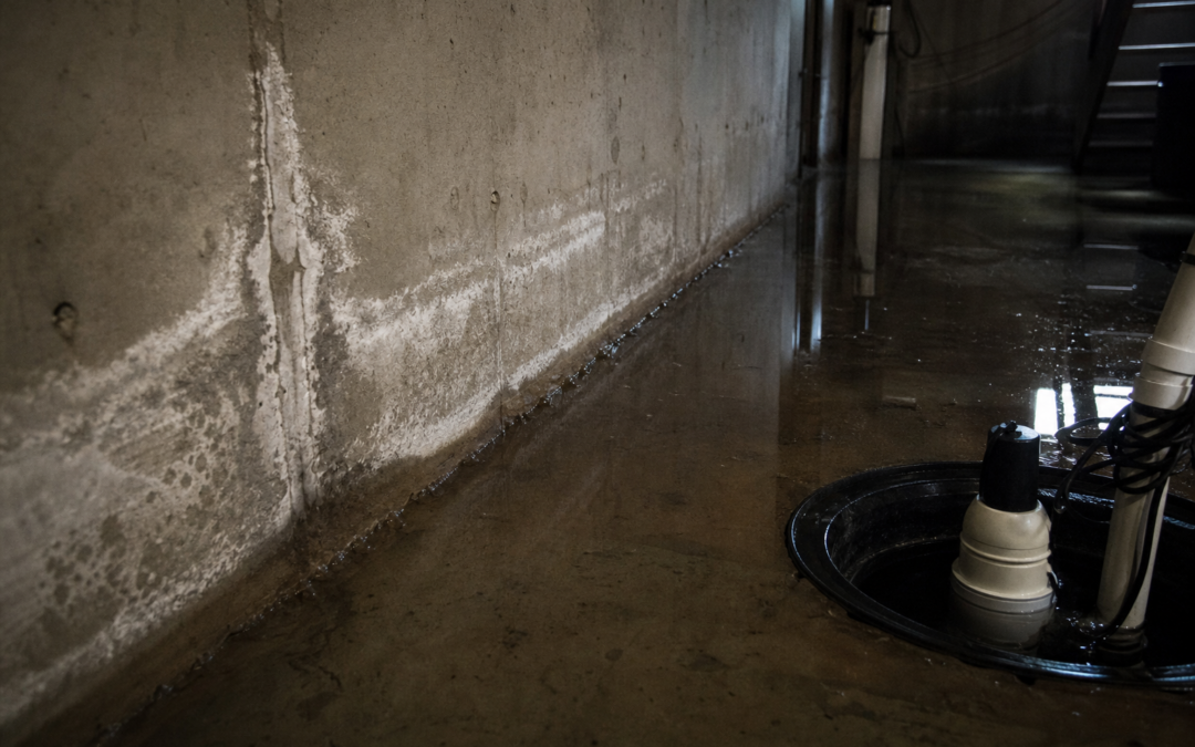 Flooded residential basement in Windsor Colorado with standing water, a sump pump pit and efflorescence on the concrete wall