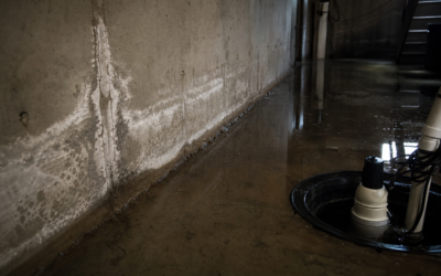 Why Windsor Basements Flood: Groundwater, the Water Table, and What Actually Stops It