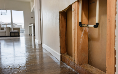New Construction Water Damage in Windsor: Why Newer Homes Still Flood